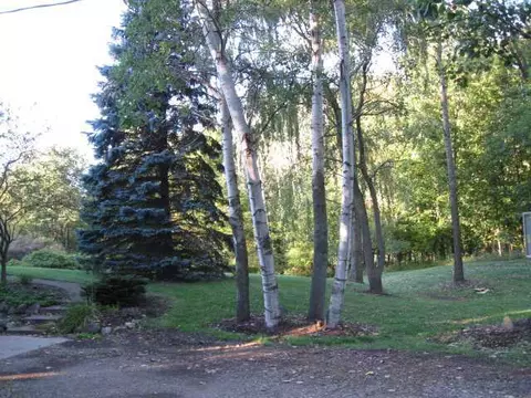 2285 Haslett Rd, Williamston, MI 48895 photo 20