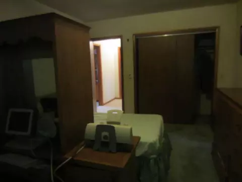 1281 W Clark Rd, Dewitt, MI 48820 photo 10