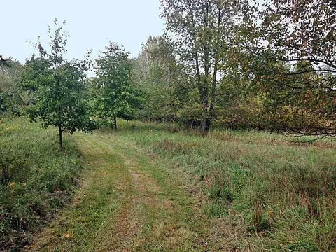 9297 Coleman Rd, Haslett, MI 48840 photo 1