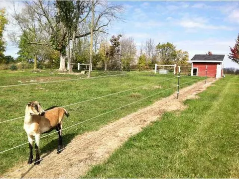 8934 S S Grv, Dewitt, MI 48820 photo 24