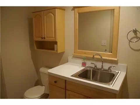 6022 Oak Park Trl, Haslett, MI 48840 photo 21