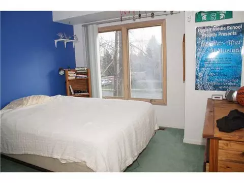 6022 Oak Park Trl, Haslett, MI 48840 photo 17