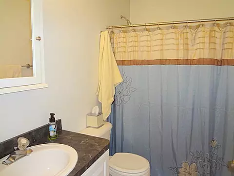 6387 Green, Haslett, MI 48840 photo 17