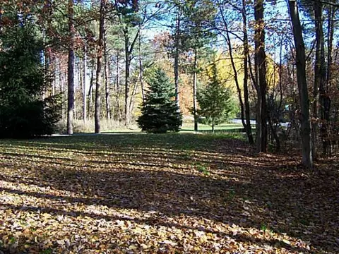 5624 Britton Rd, Perry, MI 48872 photo 19