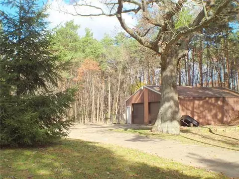 5624 Britton Rd, Perry, MI 48872 photo 25