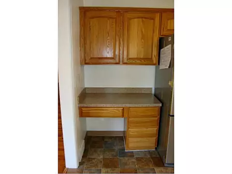 3141 Cedarbrook Ave, Lansing, MI 48910 photo 9
