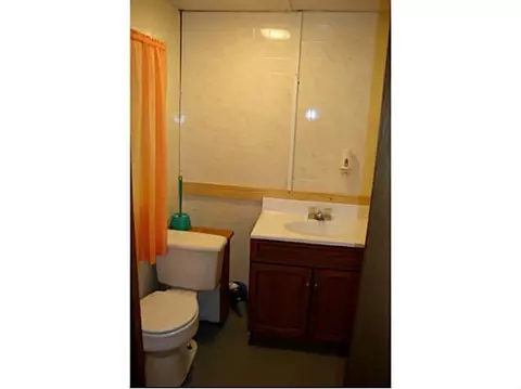 3141 Cedarbrook Ave, Lansing, MI 48910 photo 21
