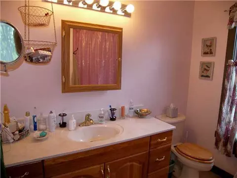 5300 Harper Rd, Holt, MI 48842 photo 20