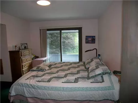 5300 Harper Rd, Holt, MI 48842 photo 19
