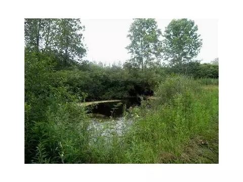 5300 Harper Rd, Holt, MI 48842 photo 10