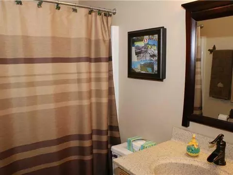 15523 Outer Dr, Bath, MI 48808 photo 16