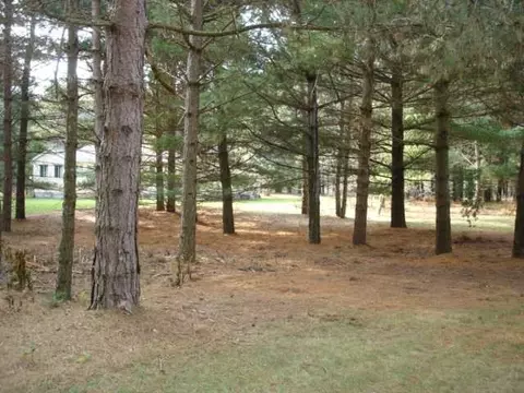 7045 Scotch Pine Ln, Perry, MI 48872 photo 10