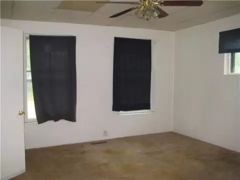 110 E Webb, Dewitt, MI 48820 photo 5