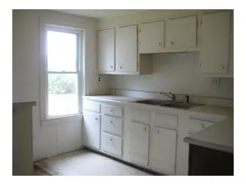 110 E Webb, Dewitt, MI 48820 photo 7