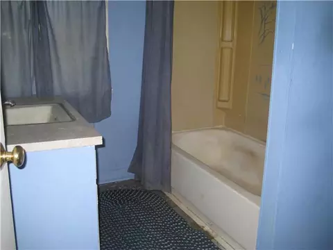 110 E Webb, Dewitt, MI 48820 photo 4
