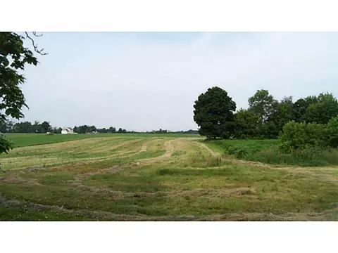 12820 S Jones Rd, Eagle, MI 48822 photo 15