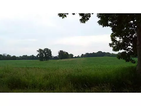 12820 S Jones Rd, Eagle, MI 48822 photo 16