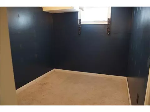 306 Wilson, Dewitt, MI 48820 photo 14