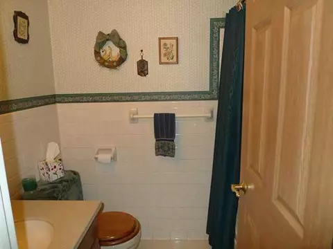 3967 Dell Rd, Holt, MI 48842 photo 17