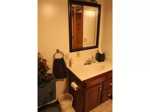 3967 Dell Rd, Holt, MI 48842 photo 21