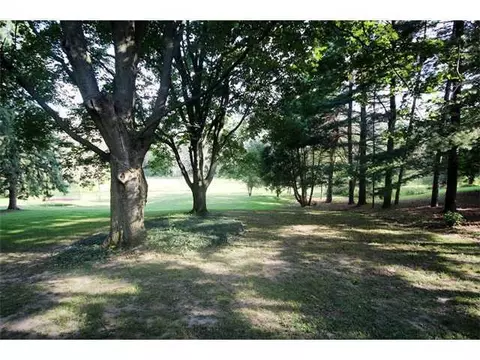 1015 E Dill, Dewitt, MI 48820 photo 12