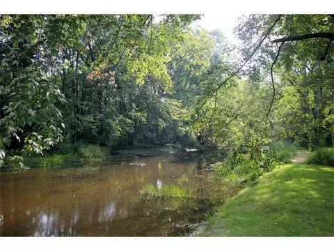 1015 E Dill, Dewitt, MI 48820 photo 14