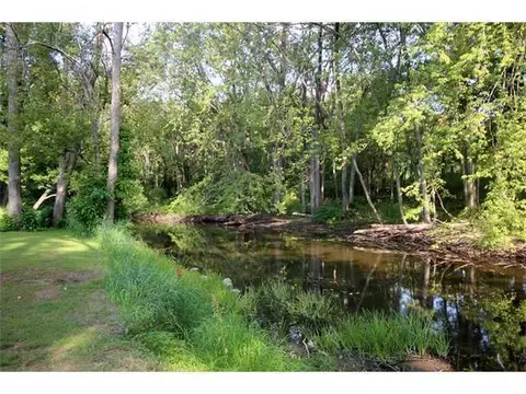 1015 E Dill, Dewitt, MI 48820 photo 13