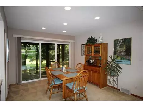 1015 E Dill, Dewitt, MI 48820 photo 5