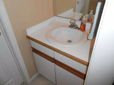 13221 Willow Grove Dr, Dewitt, MI 48820 photo 21