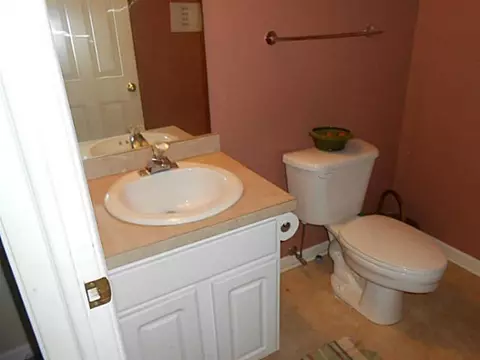13221 Willow Grove Dr, Dewitt, MI 48820 photo 23