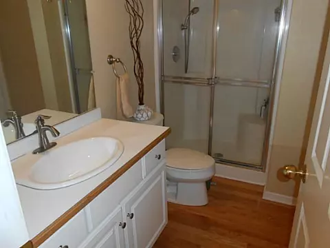 13221 Willow Grove Dr, Dewitt, MI 48820 photo 22