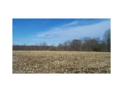 3600 Gunnell, Dimondale, MI 48821 photo 2