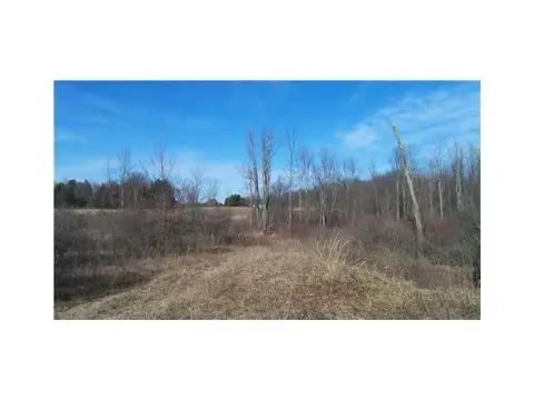 3600 Gunnell, Dimondale, MI 48821 photo 7