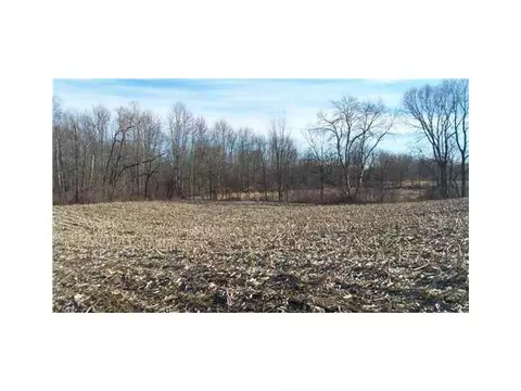 3600 Gunnell, Dimondale, MI 48821 photo 9