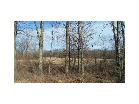 3600 Gunnell, Dimondale, MI 48821 photo 4