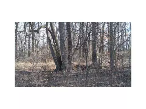 3600 Gunnell, Dimondale, MI 48821 photo 5