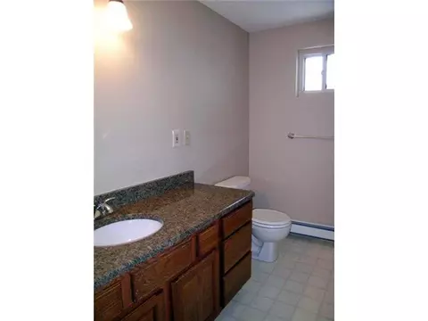 4379 Beeman Rd, Williamston, MI 48895 photo 24