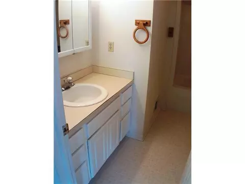 4411 Aurelius Rd, Lansing, MI 48910 photo 8