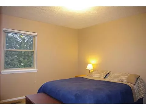 6460 Lansdown Dr, Dimondale, MI 48821 photo 20