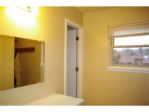 6460 Lansdown Dr, Dimondale, MI 48821 photo 18