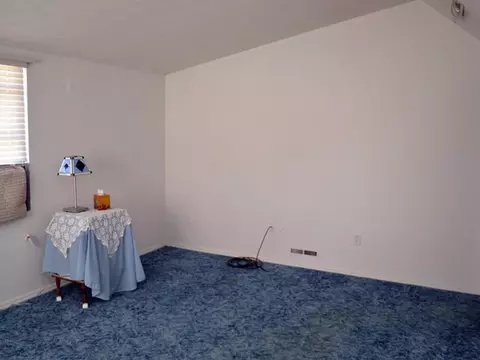 903 Pine St, Dewitt, MI 48820 photo 5