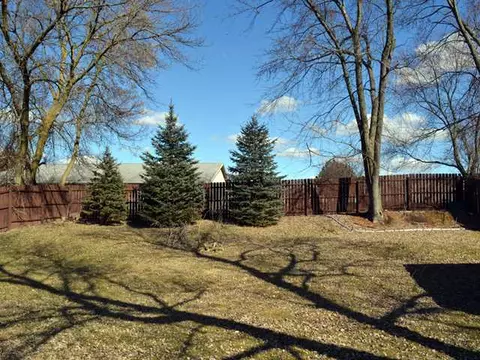 903 Pine St, Dewitt, MI 48820 photo 14