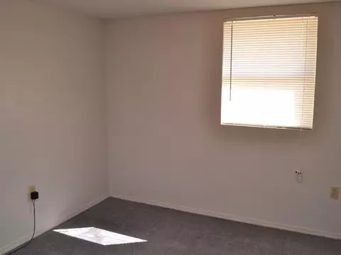 903 Pine St, Dewitt, MI 48820 photo 10