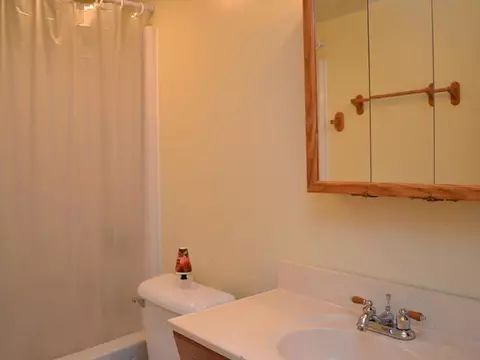 903 Pine St, Dewitt, MI 48820 photo 9