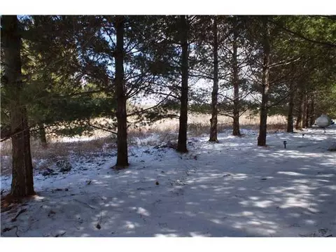 7535 Clark, Bath, MI 48808 photo 23