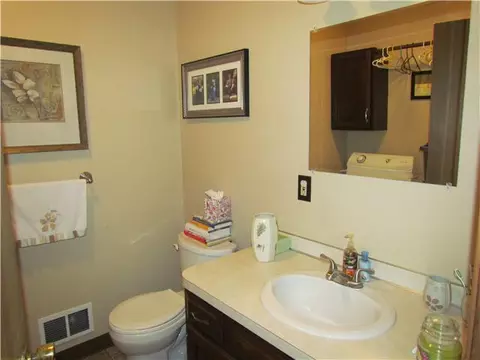 901 N Wilson, Dewitt, MI 48820 photo 16