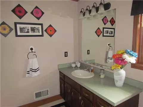 901 N Wilson, Dewitt, MI 48820 photo 12