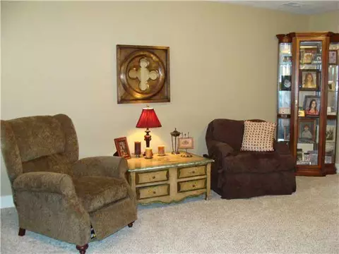 13533 Heathrow Cir, Dewitt, MI 48820 photo 22