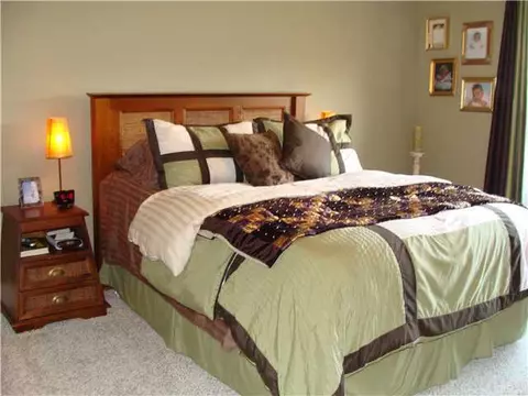 13533 Heathrow Cir, Dewitt, MI 48820 photo 14
