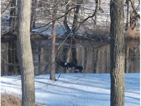 11400 Eden Trl, Eagle, MI 48822 photo 2